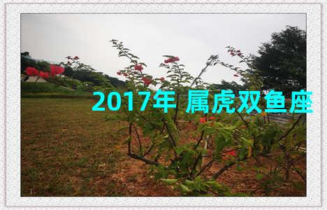 2017年 属虎双鱼座